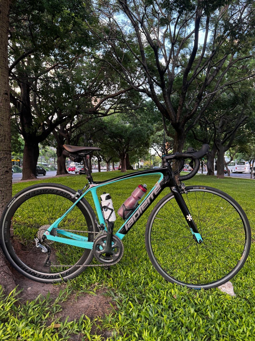Vista de la bicicleta 1