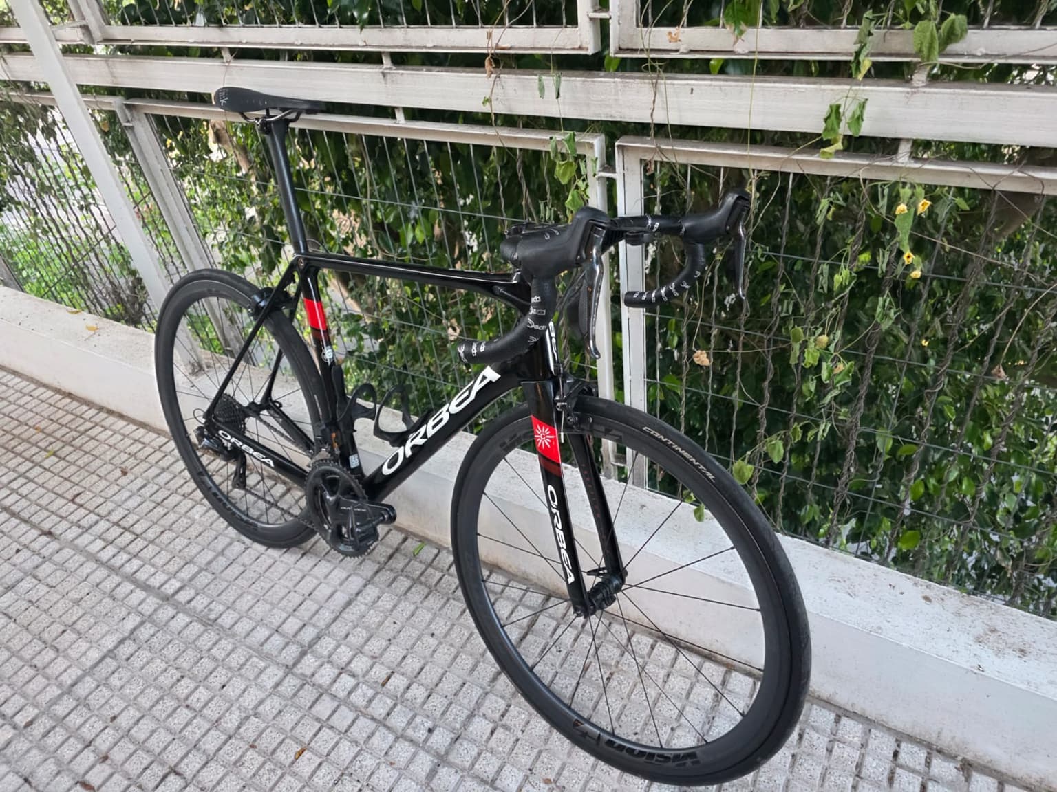 ORBEA orca