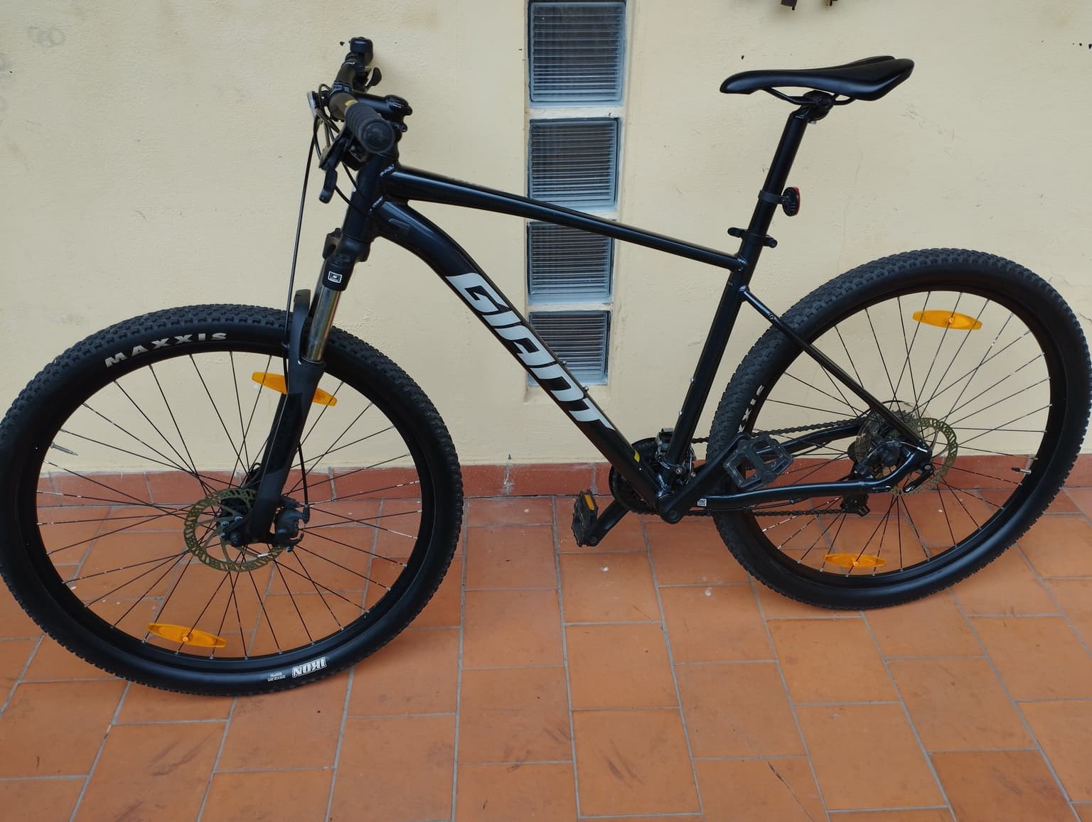 Vista de la bicicleta 1