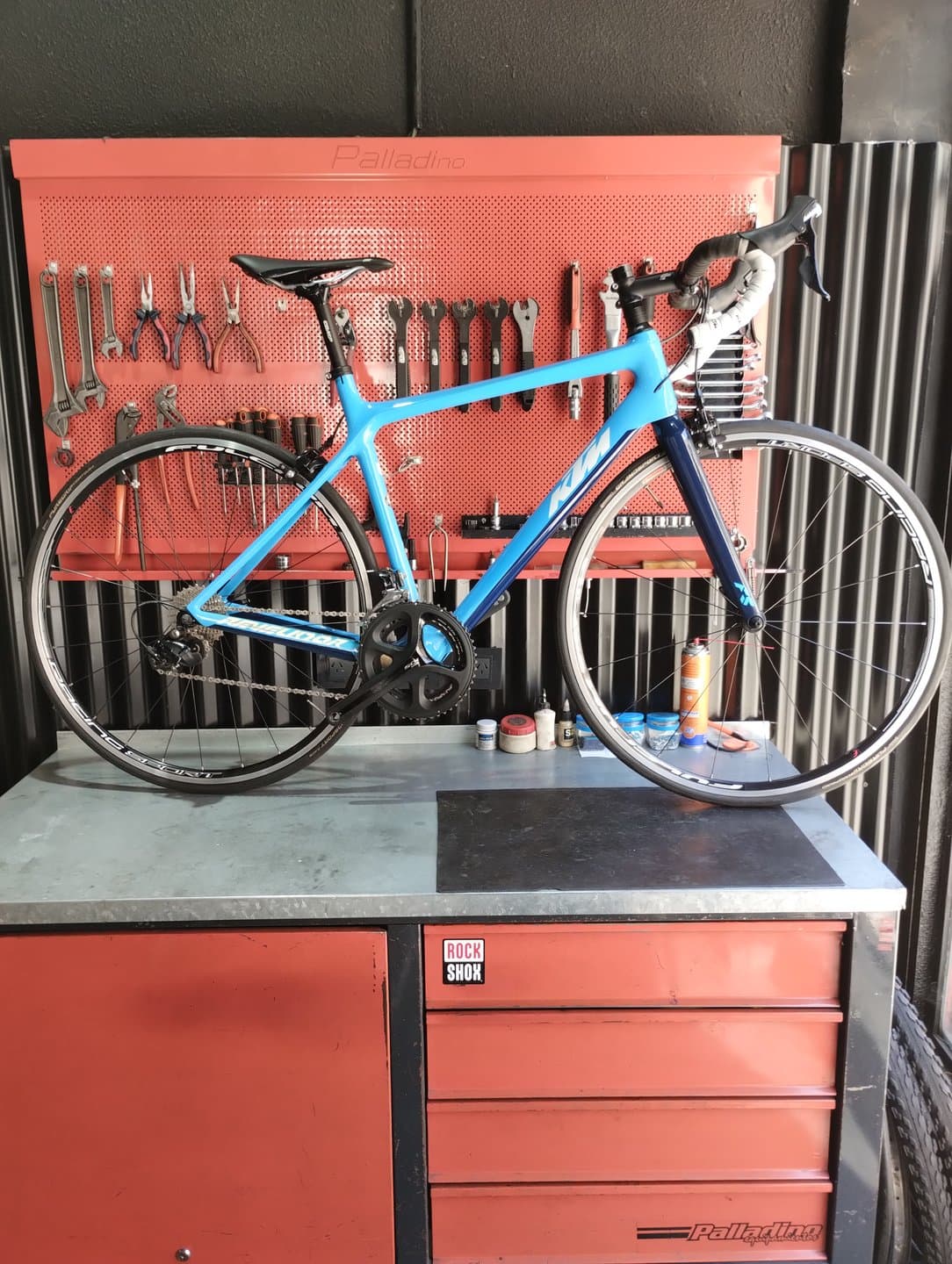 Vista de la bicicleta 1