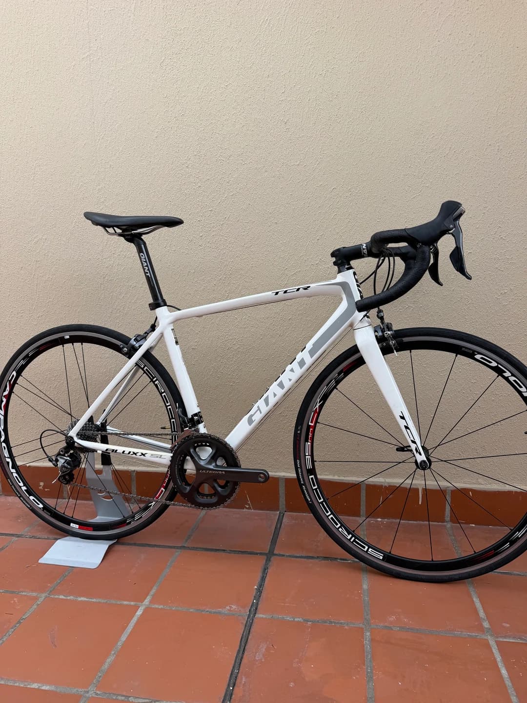 GIANT TCR