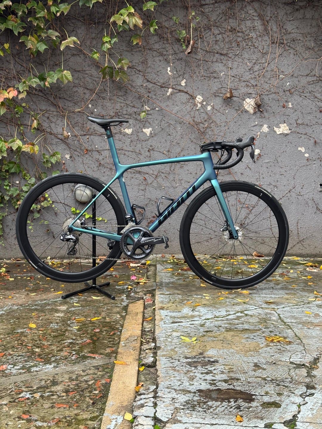 Vista de la bicicleta 1