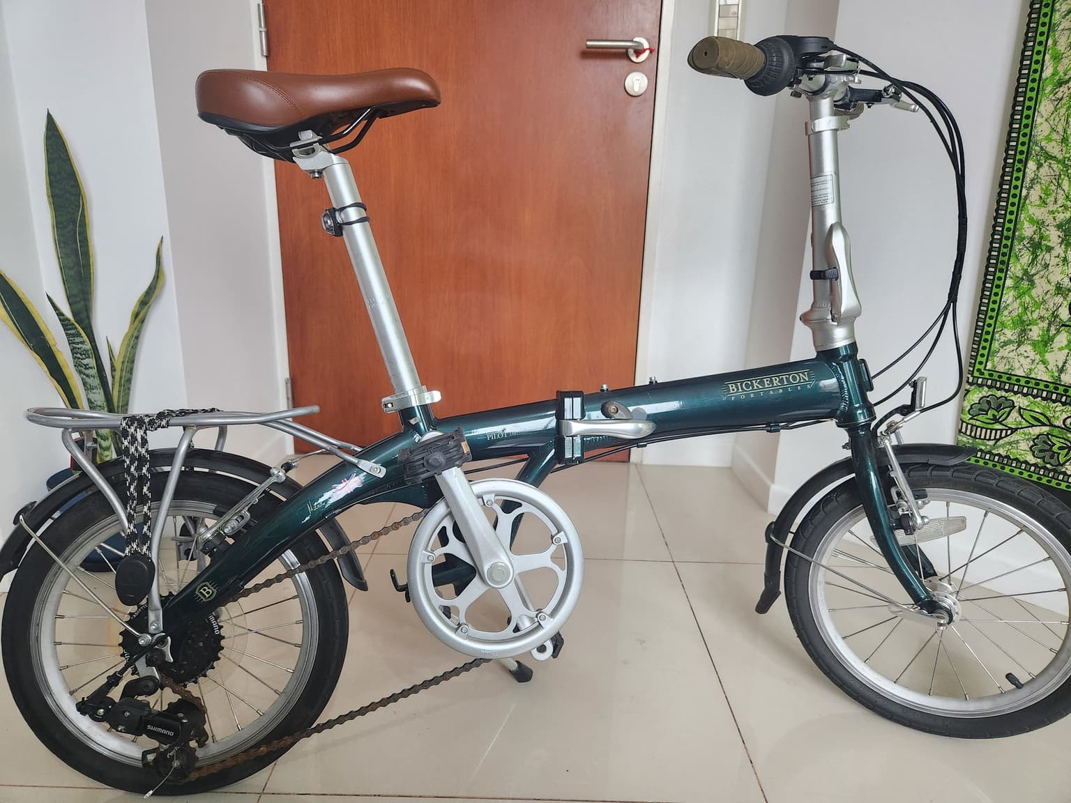 Vista de la bicicleta 1