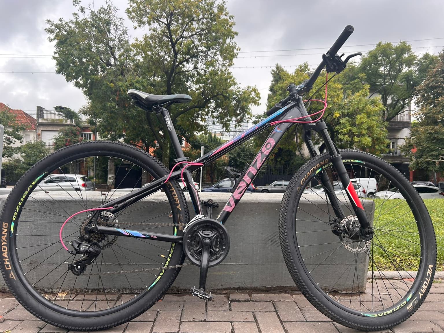 Vista de la bicicleta 1