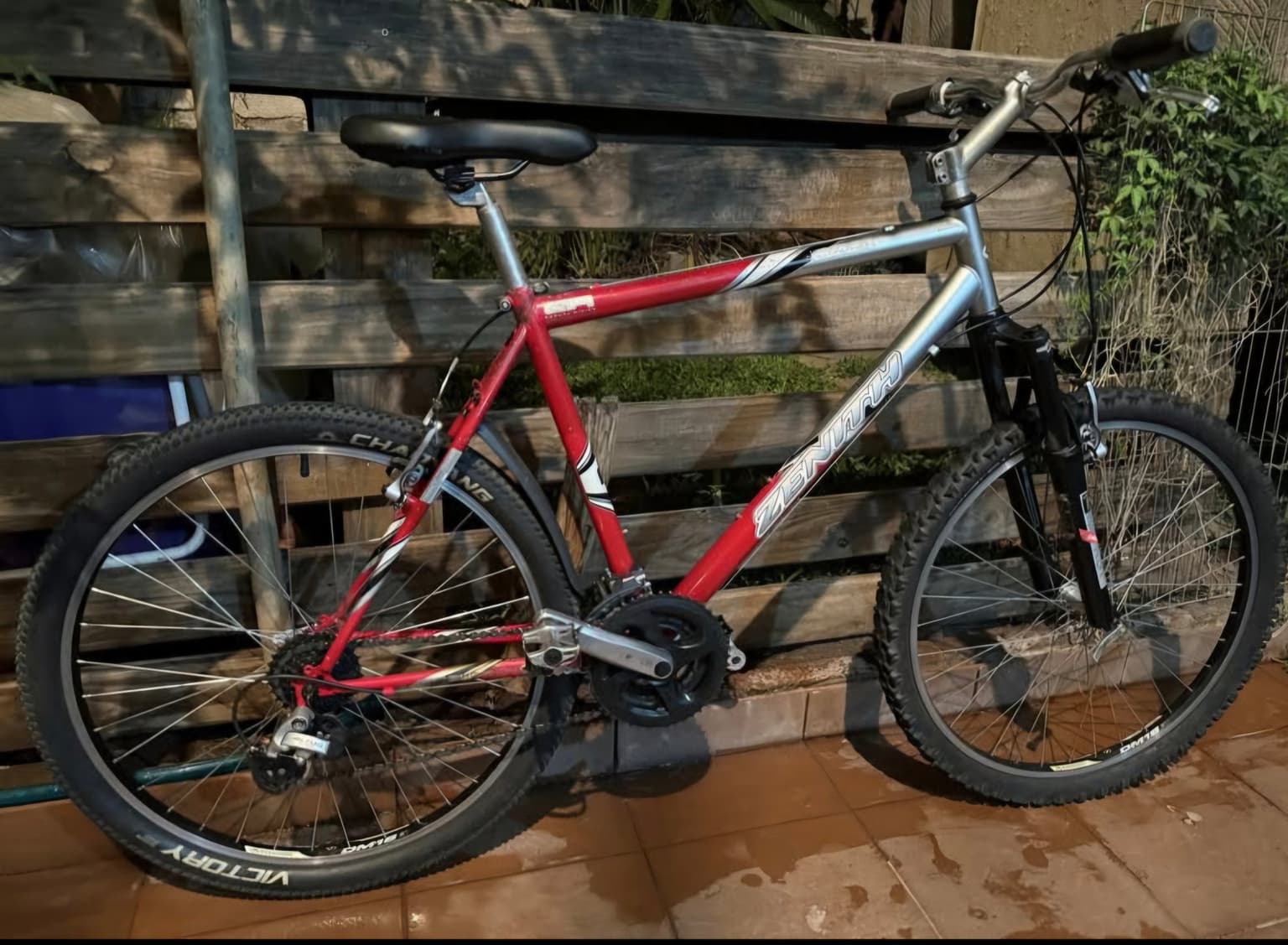 Vista de la bicicleta 1