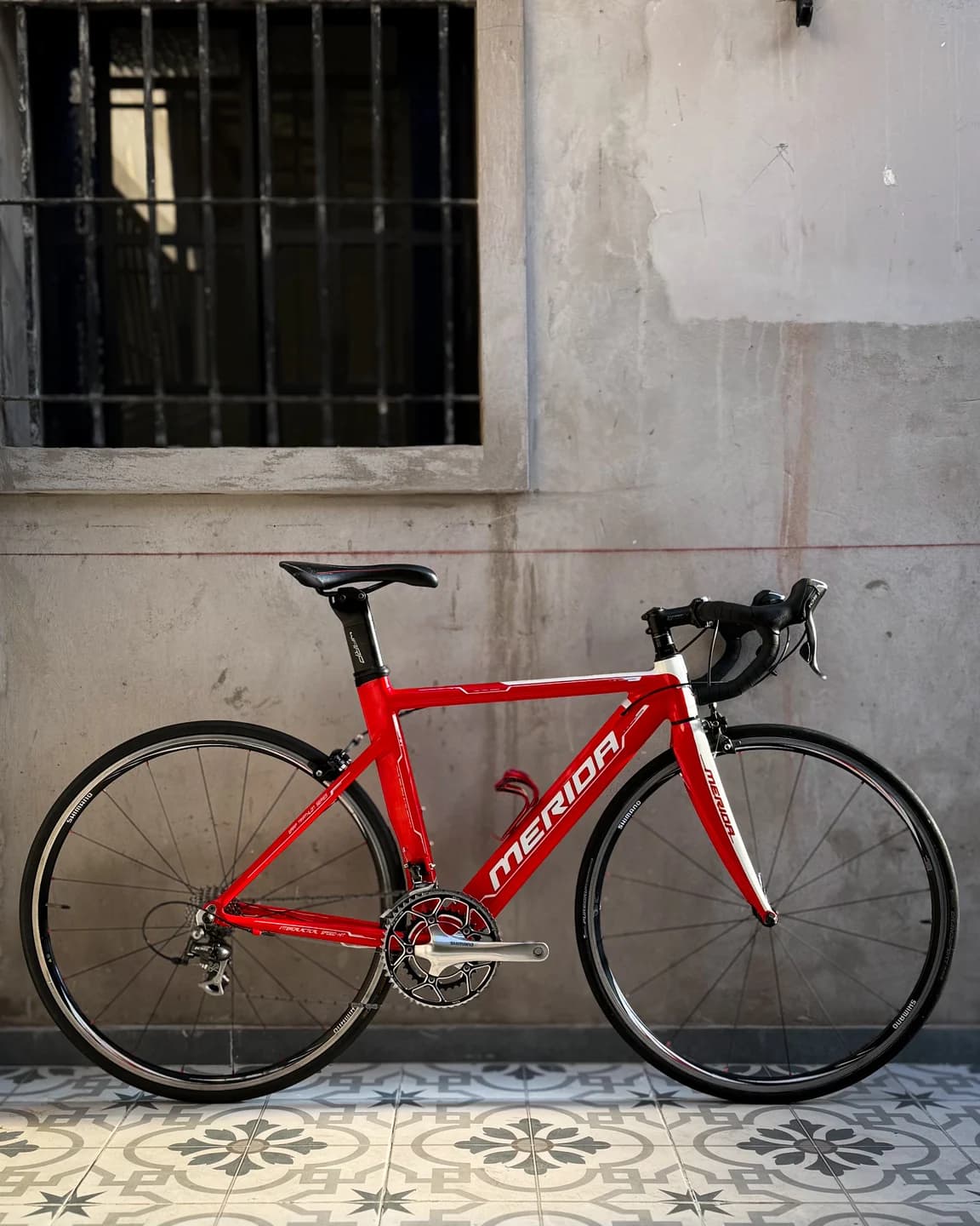 MERIDA Warp 4