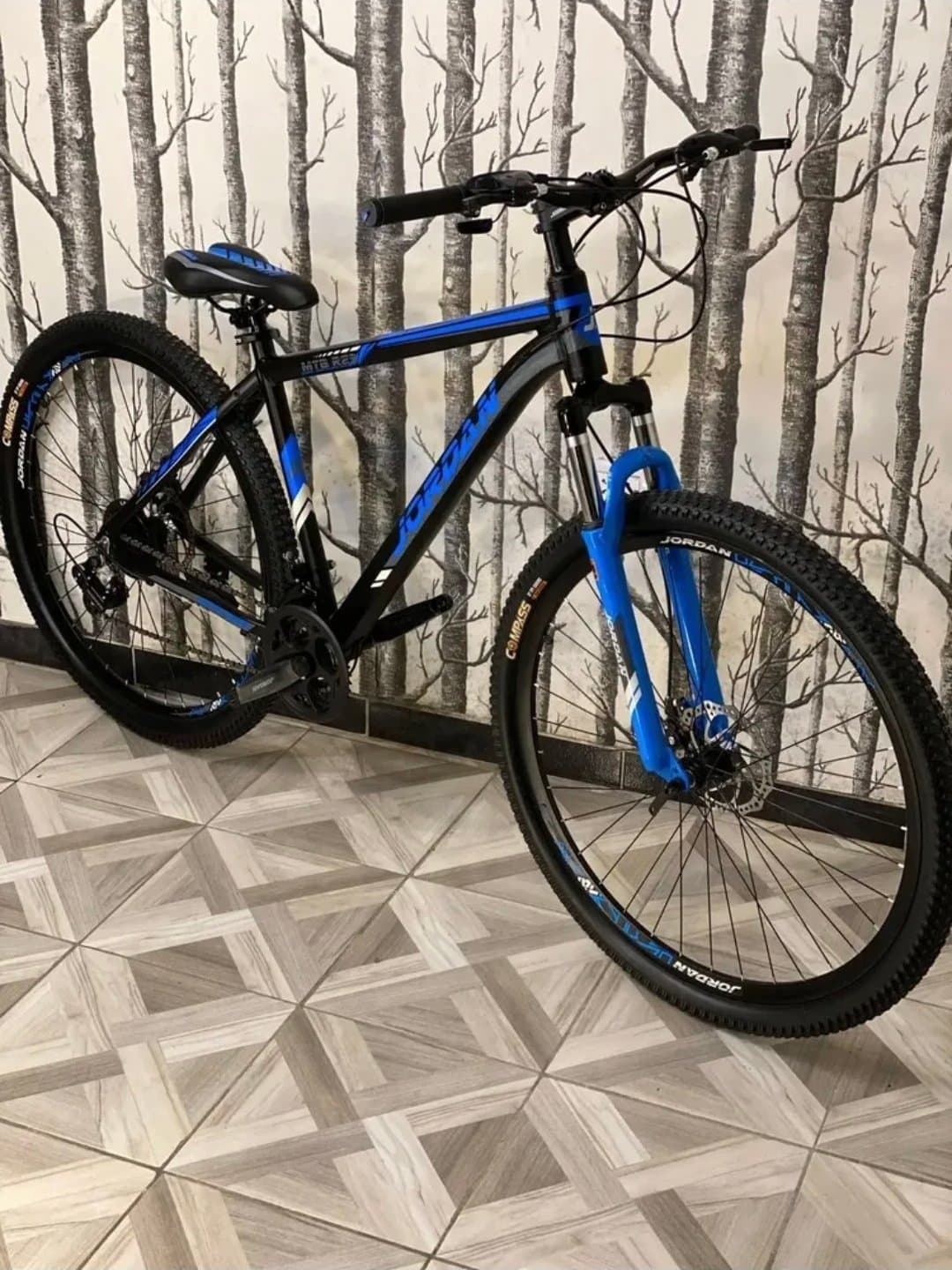 Vista de la bicicleta 1