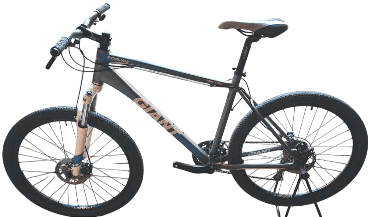 Vista de la bicicleta 1