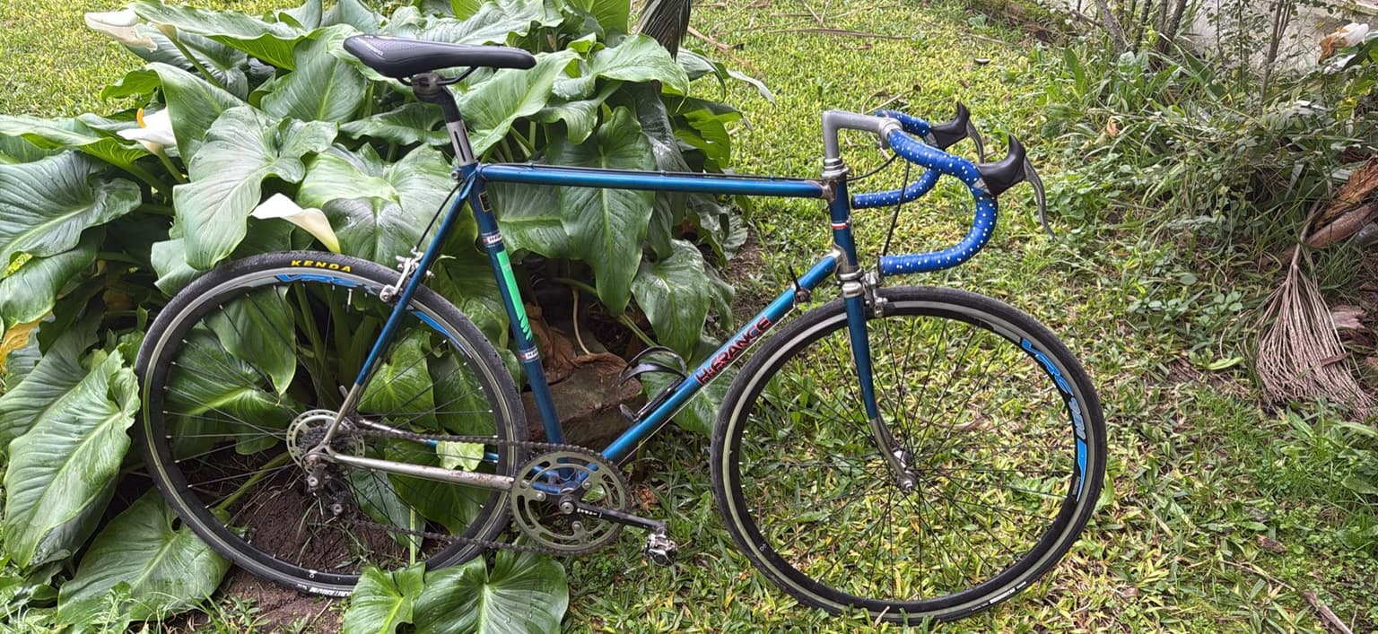 Vista de la bicicleta 1