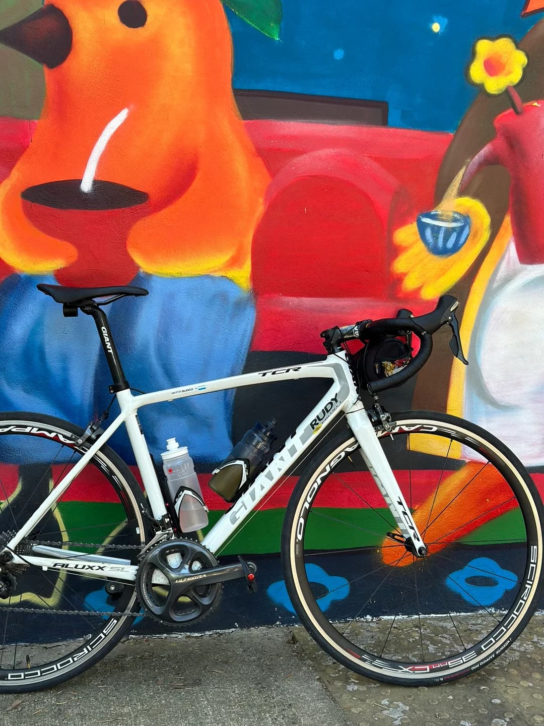 GIANT TCR