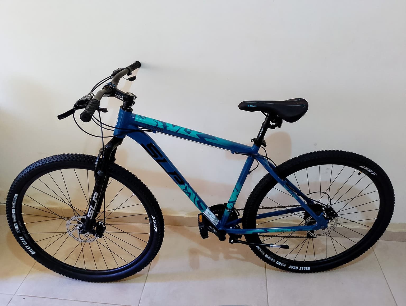 Vista de la bicicleta 1