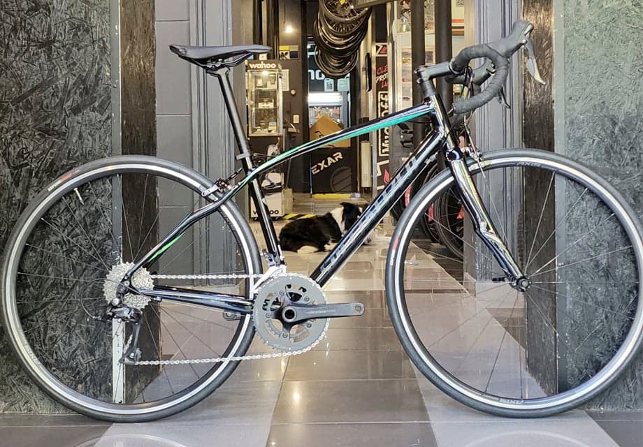 Vista de la bicicleta 1